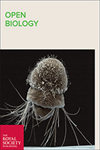 開放生物學