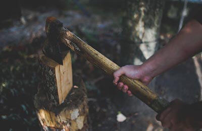 林業(yè)工程苗木培育及移植造林研究