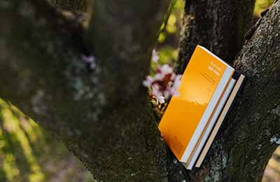 初中語(yǔ)文散文教學(xué)