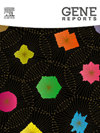 基因報告