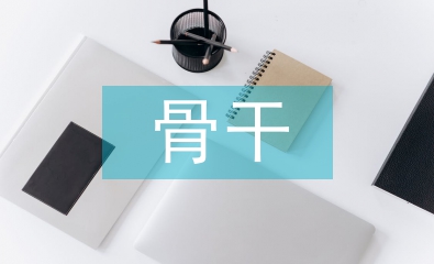 骨干教師培訓工作計劃