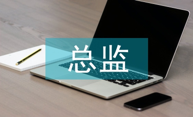 總監試用期工作總結