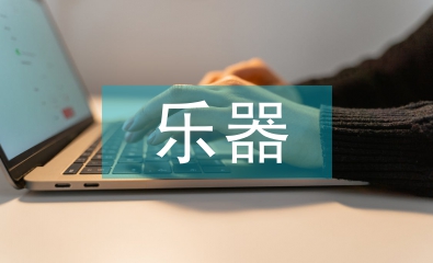 樂器畢業(yè)總結(jié)