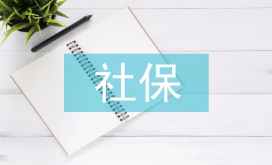 社保基金投資論文