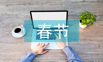 春節(jié)景區(qū)安全生產預案