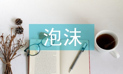 房地產(chǎn)泡沫分析論文