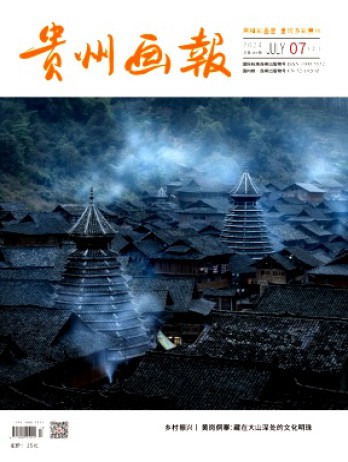 貴州畫報雜志